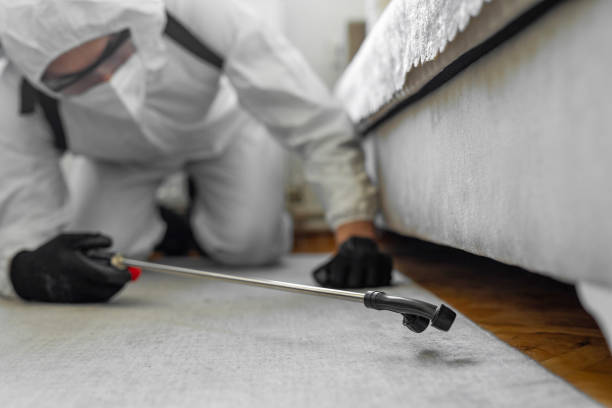 Professional Termite Control technician working in Pomona, CA