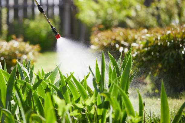 24/7 Emergency Termite Control experts in Pomona, CA