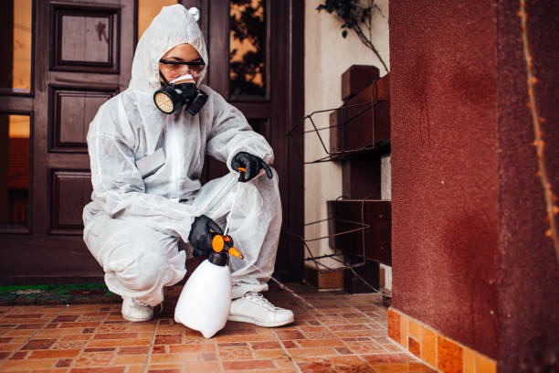 Reliable Termite Control contractor in Pomona, CA by Nex Pest Control